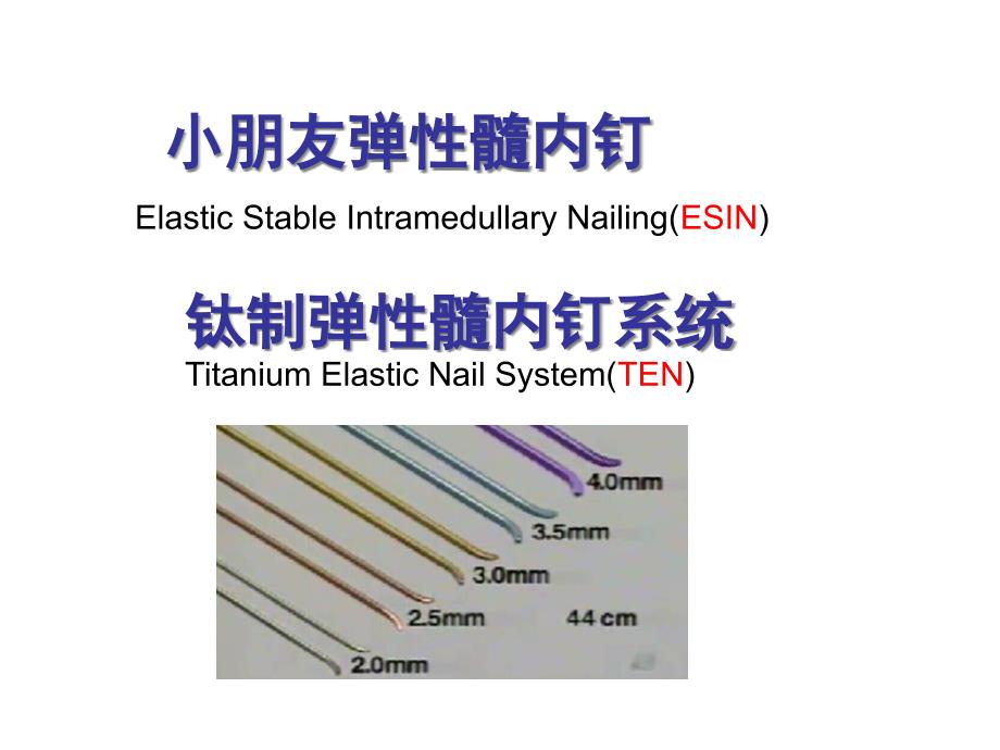 弹性髓内钉讲座_第1页