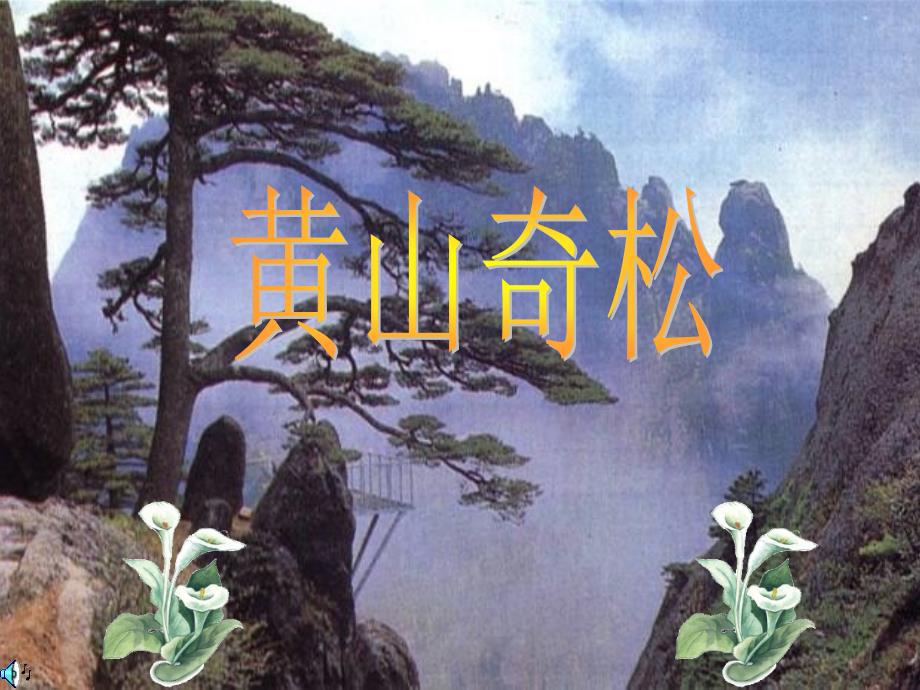 16《黄山奇松》课件_第1页