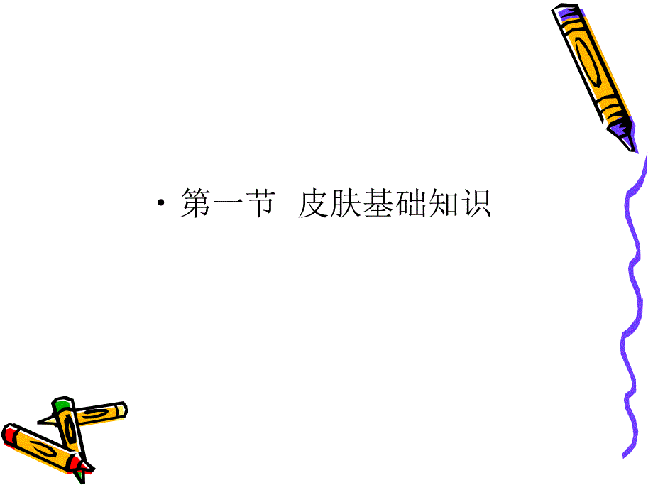 皮肤基础知识专业知识_第1页