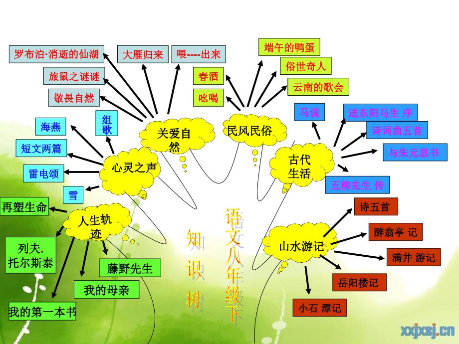 八年级知识结构_第1页