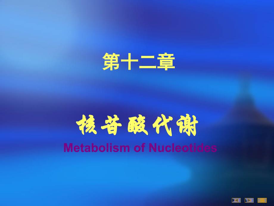 生物化学核苷酸代谢医学知识_第1页