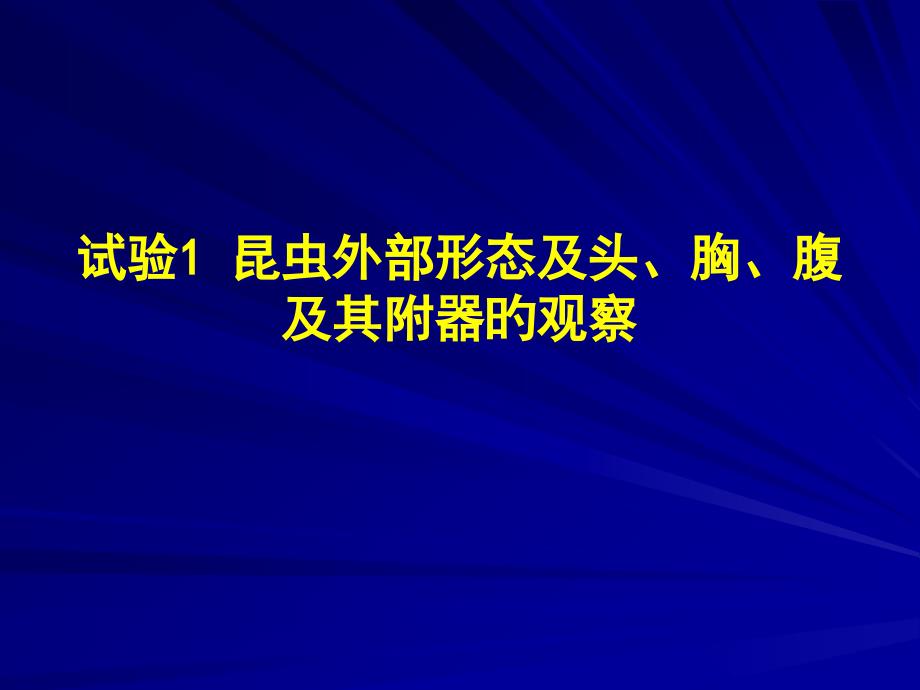 园林植物病虫害防治讲义专家讲座_第1页