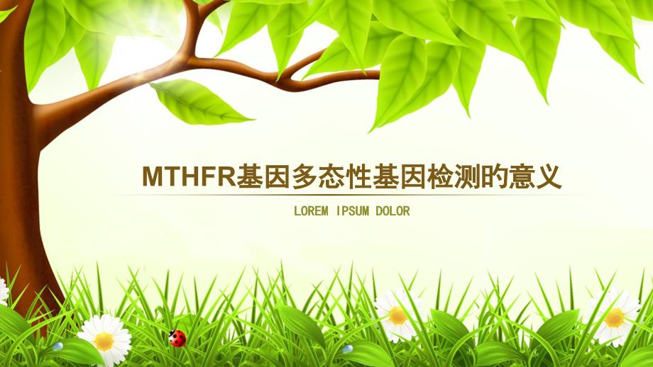 MTHFR基因多态性专题知识专家讲座_第1页