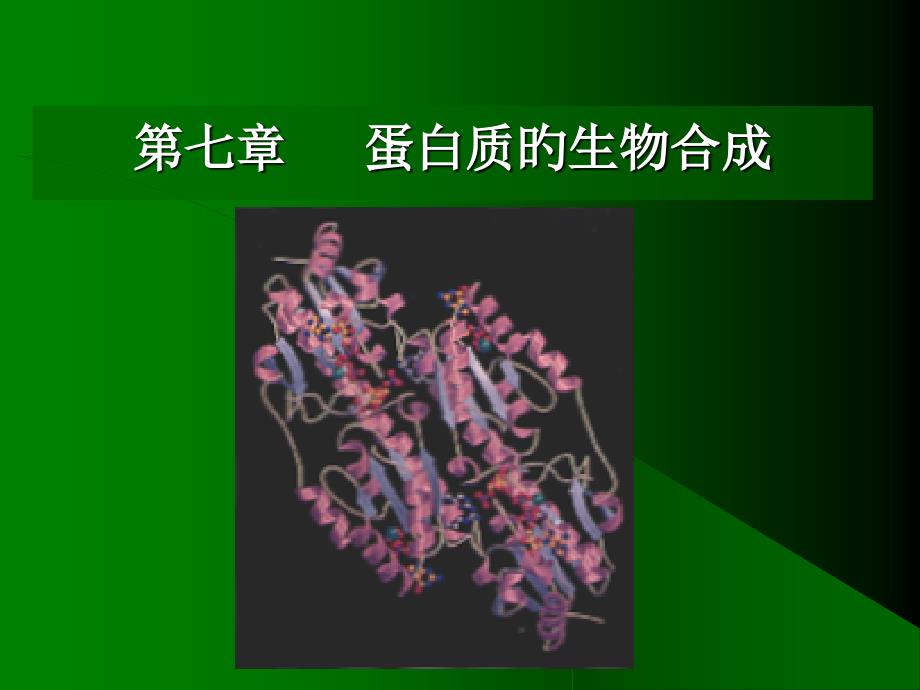 蛋白质的生物合成 医学知识_第1页