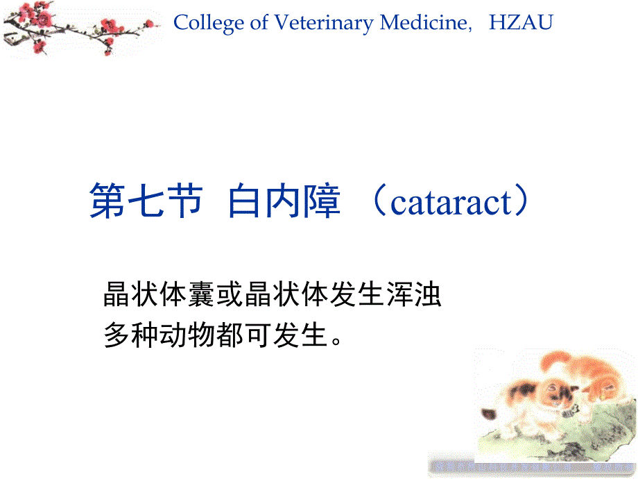 白内障疾病专题知识专家讲座_第1页