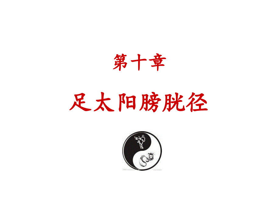 足太阳膀胱径专家讲座_第1页