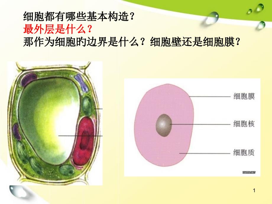 细胞膜系统的边界专业知识专家讲座_第1页