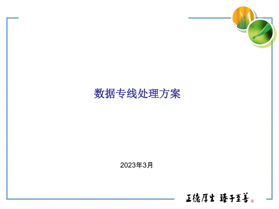 中国移动大客户数据专线解决方案_第1页