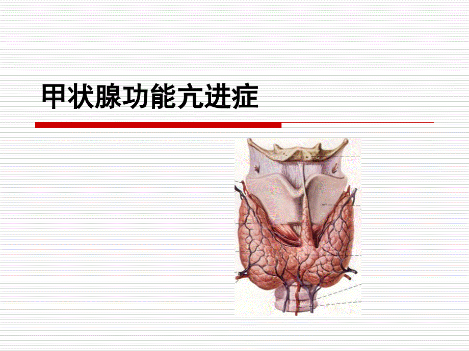 关于甲状腺功能亢进症专家讲座_第1页