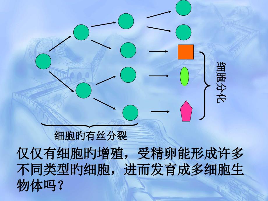 细胞分化概念专家讲座_第1页