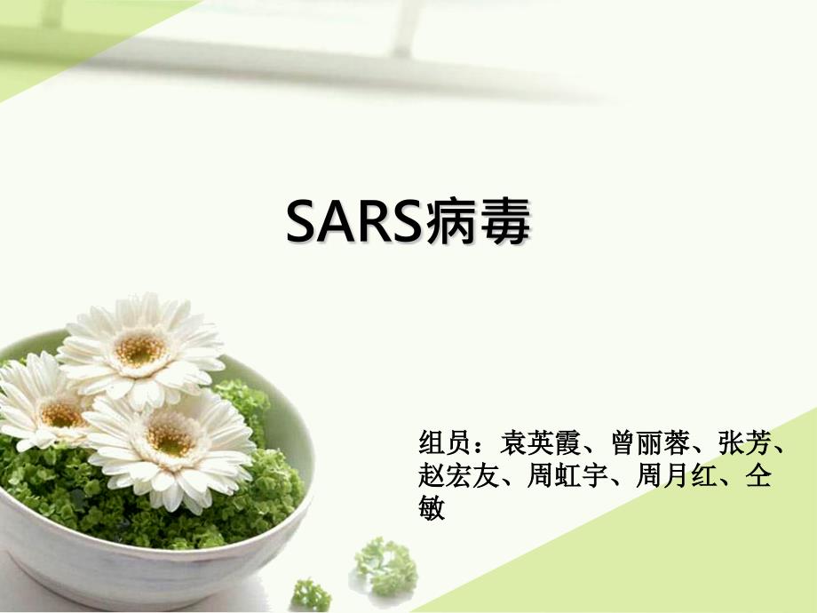 SARS病毒专题专家讲座_第1页