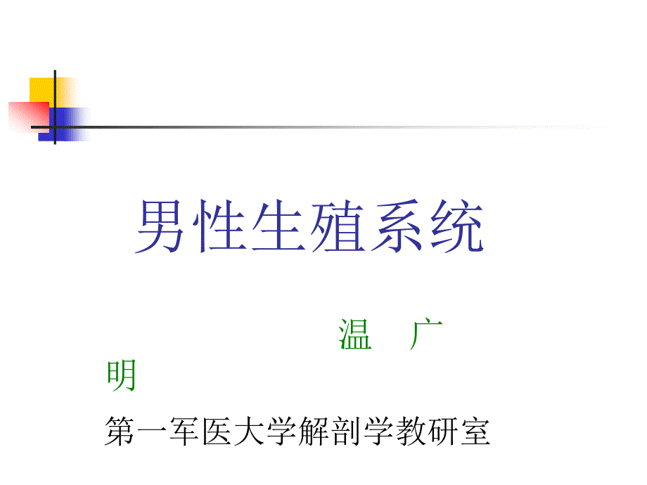 生理学男性生殖系统_第1页