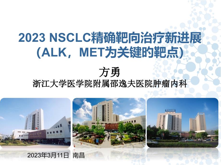 NSCLC精准靶向治疗进展ALKmet靶点_第1页