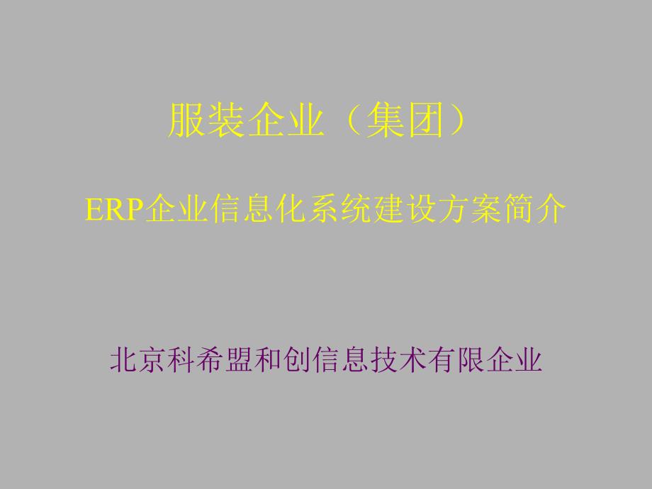 服装行业erp系统建设方案_第1页