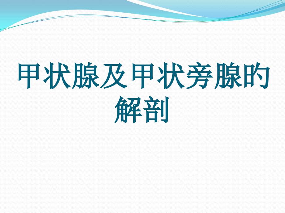 甲状腺及甲状旁腺解剖_第1页