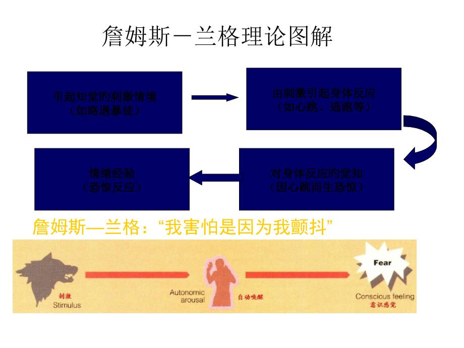 情绪理论知识专业知识_第1页