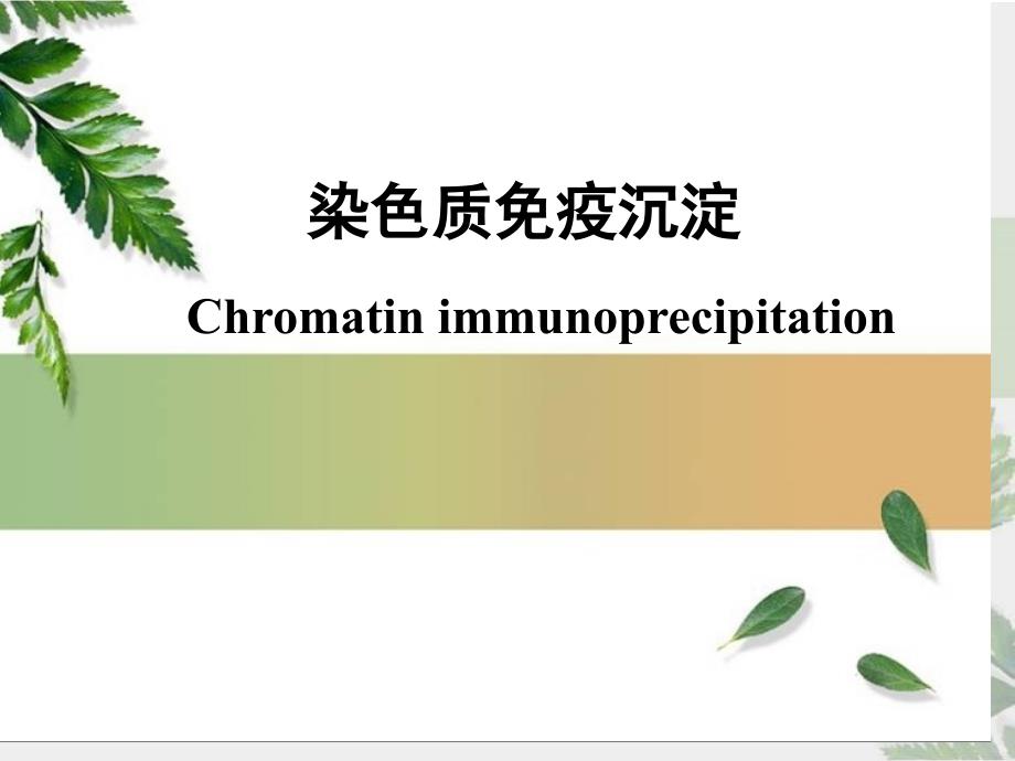 染色质免疫沉淀专家讲座_第1页