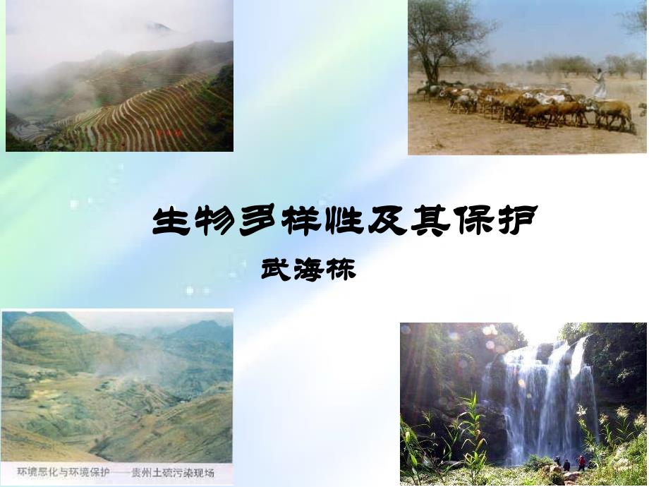 《生物多样性》ppt课件-PPT_第1页