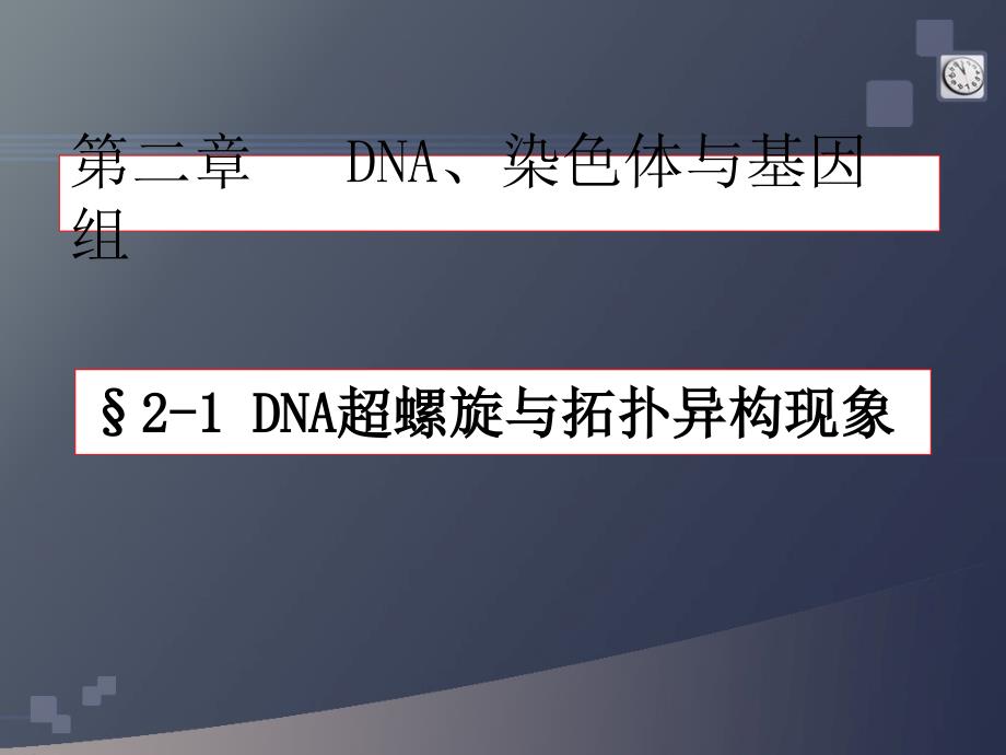 新版DNA超螺旋基因组染色体_第1页