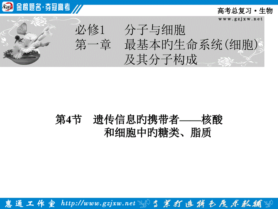 核酸细胞中的糖类脂质_第1页