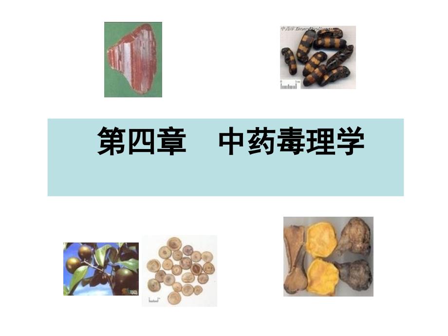 中药药理学中药毒理学专家讲座_第1页