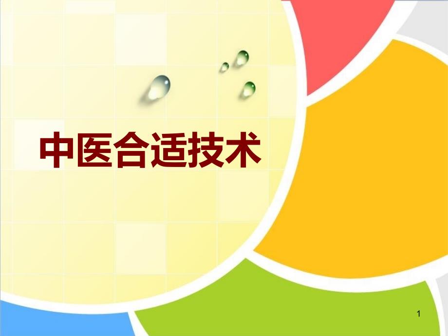 社区中医适宜技术专家讲座_第1页