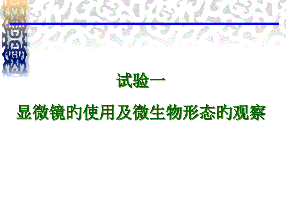 显微镜的使用及微生物形态的观察_第1页