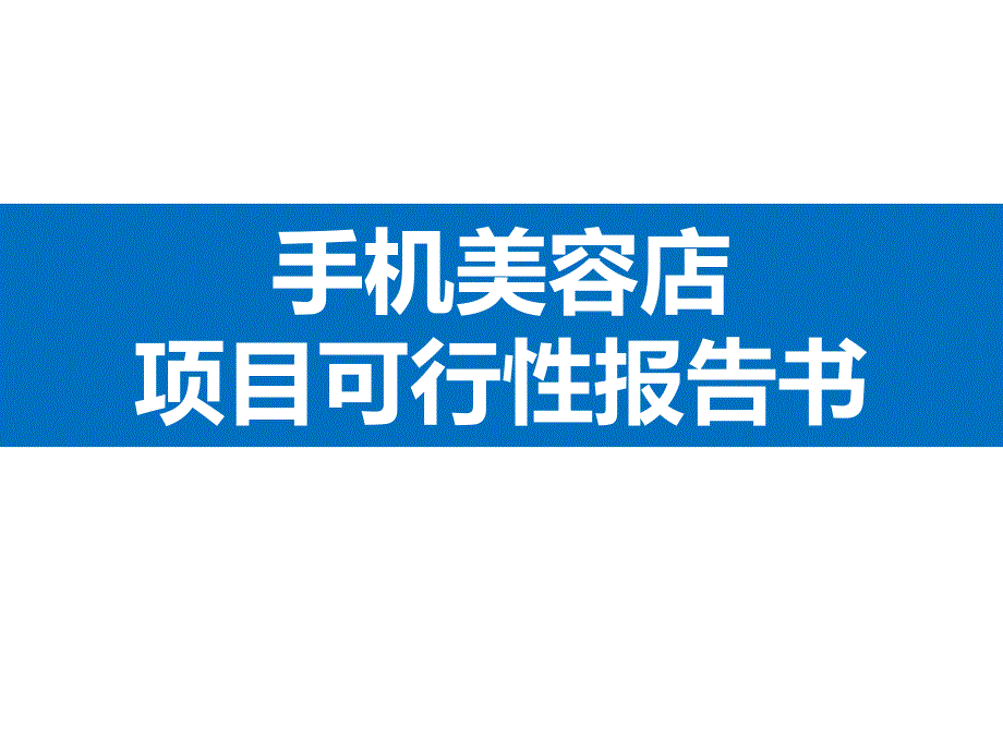 手机达人手机美容店项目可行性报告专家讲座_第1页