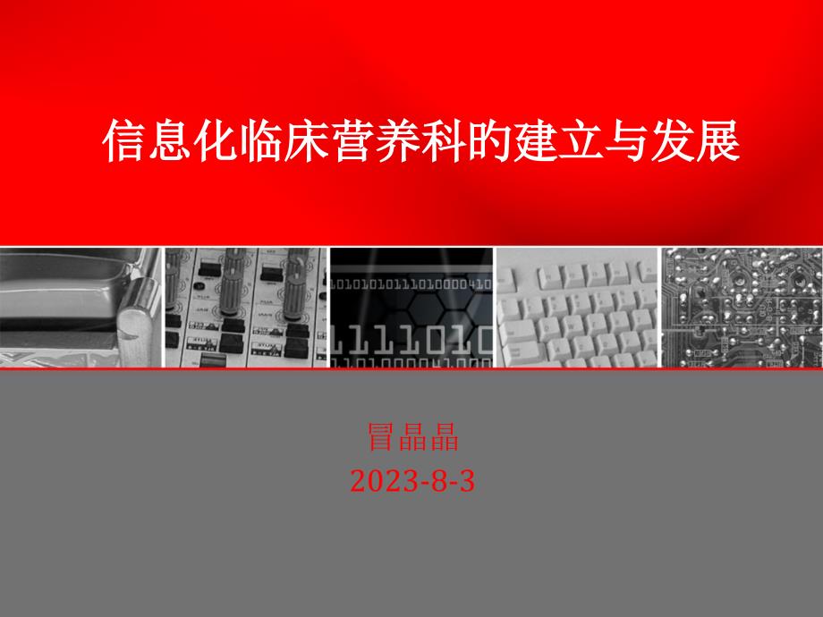 临床营养信息系统建立与应用冒晶晶专家讲座_第1页