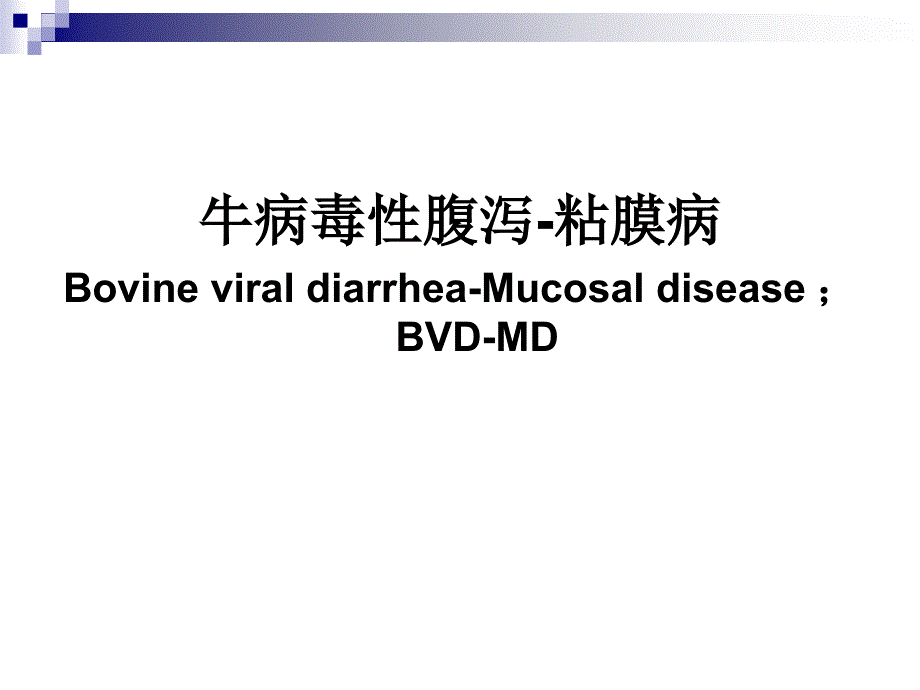 牛病毒性腹泻粘膜病专家讲座_第1页