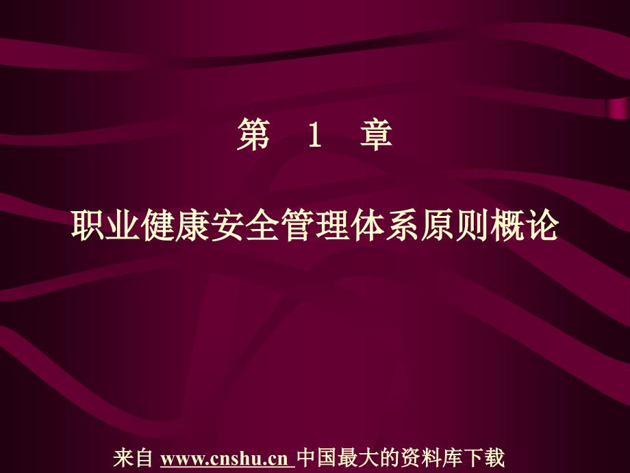 职业健康安全管理体系标准概论专家讲座_第1页