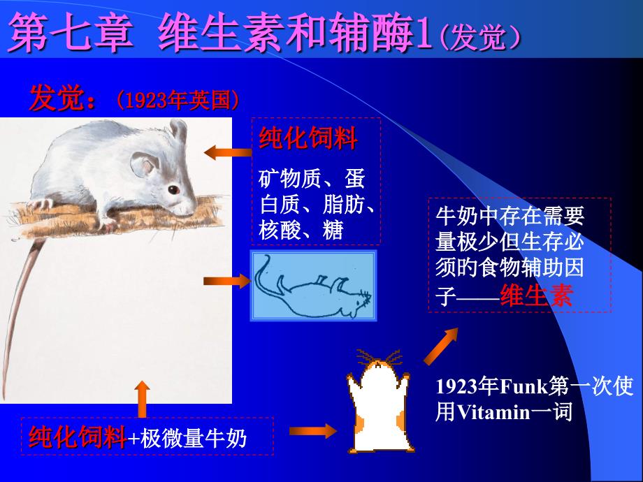 天津大学生物化学维生素和辅酶_第1页