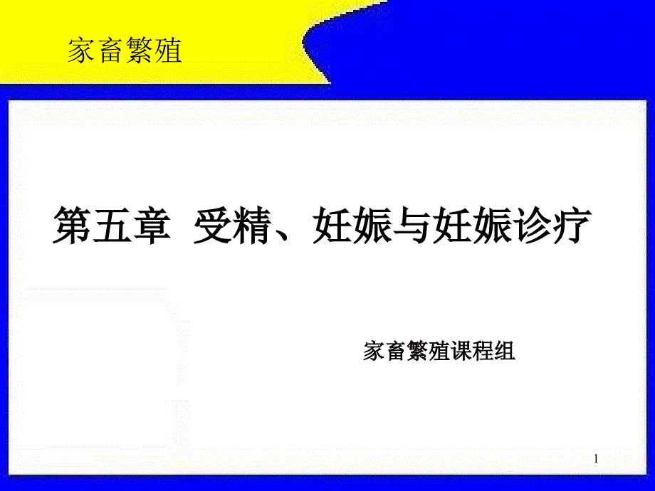 受精妊娠与妊娠诊断_第1页