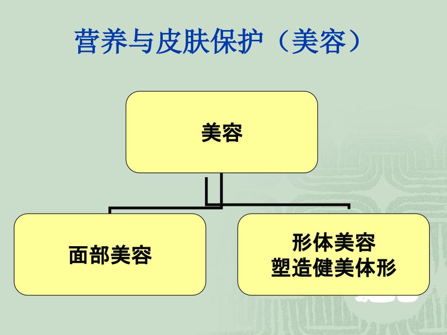 营养与皮肤的关系_第1页