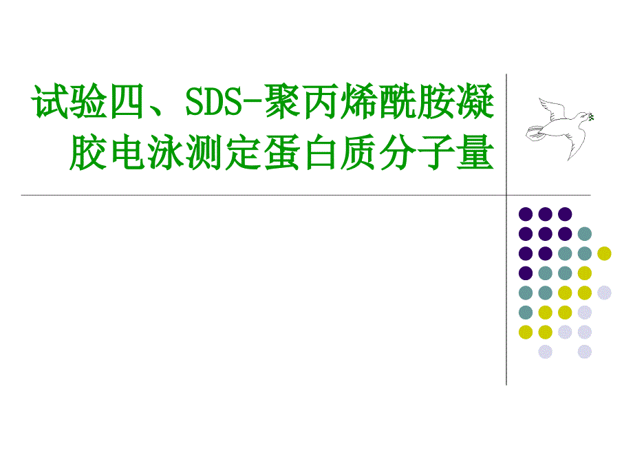 实验四SDS聚丙烯酰胺凝胶电泳测定蛋白质分子量专家讲座_第1页