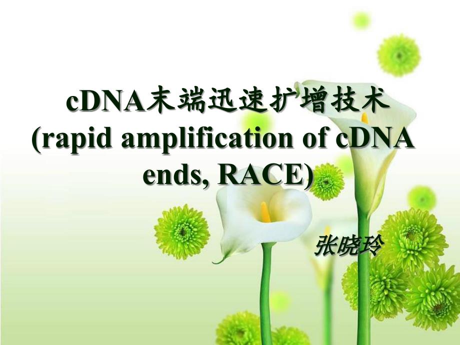 cDNA末端快速扩增技术RACE_第1页