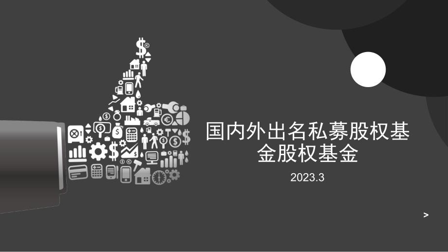 国内外知名私募股权基金股权基金_第1页