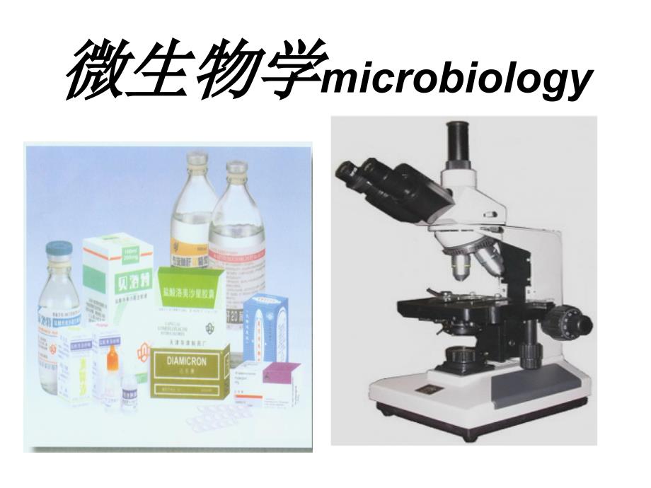 微生物资料专题知识讲座_第1页