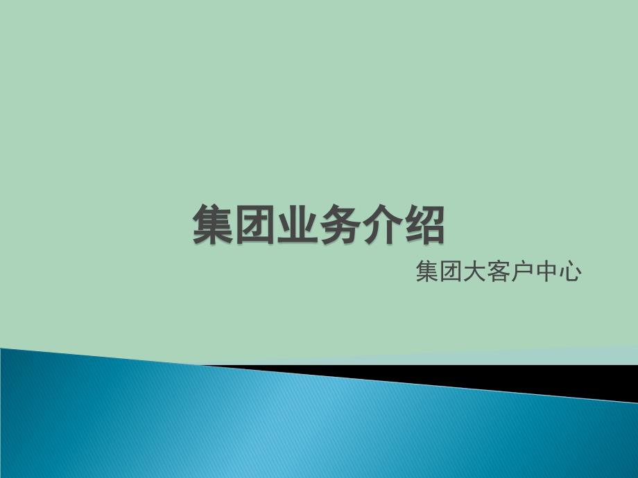 2022年市场-集团业务介绍_第1页