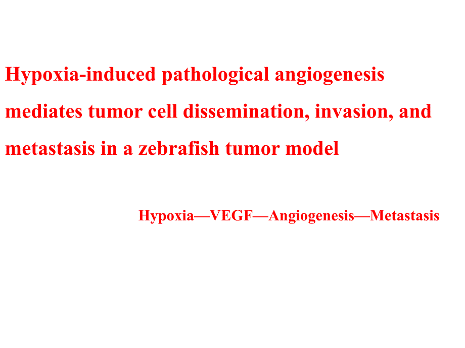 缺氧导致的病理性血管再生和肿瘤迁移_第1页