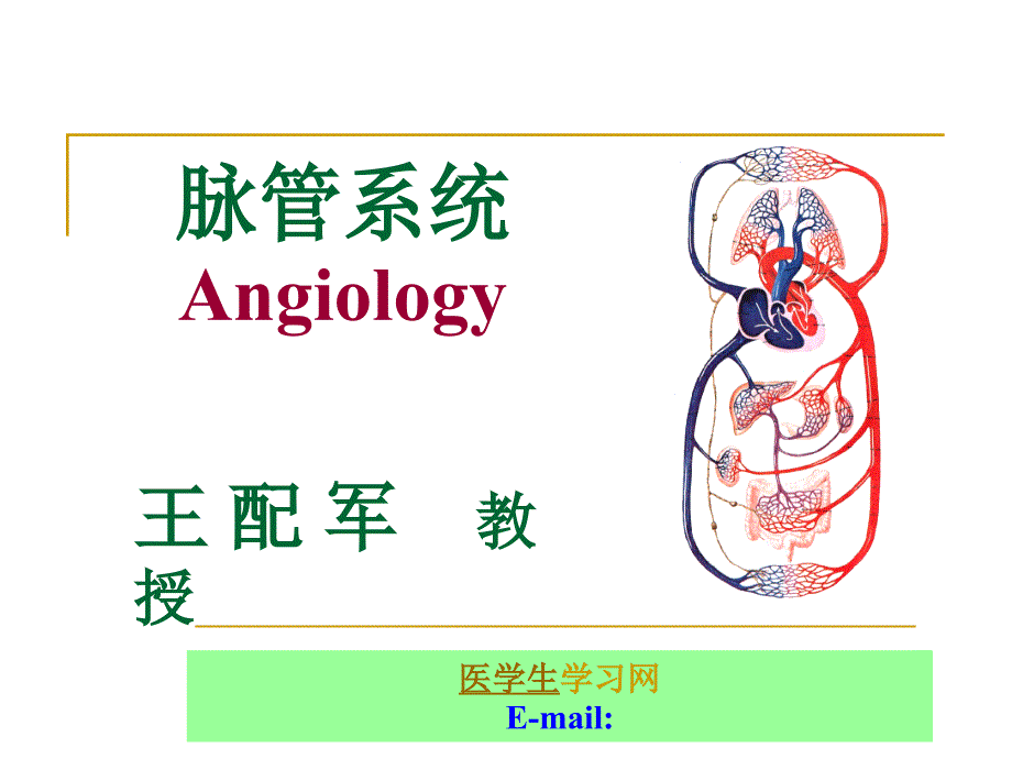 脉管系统医学知识专题讲座_第1页