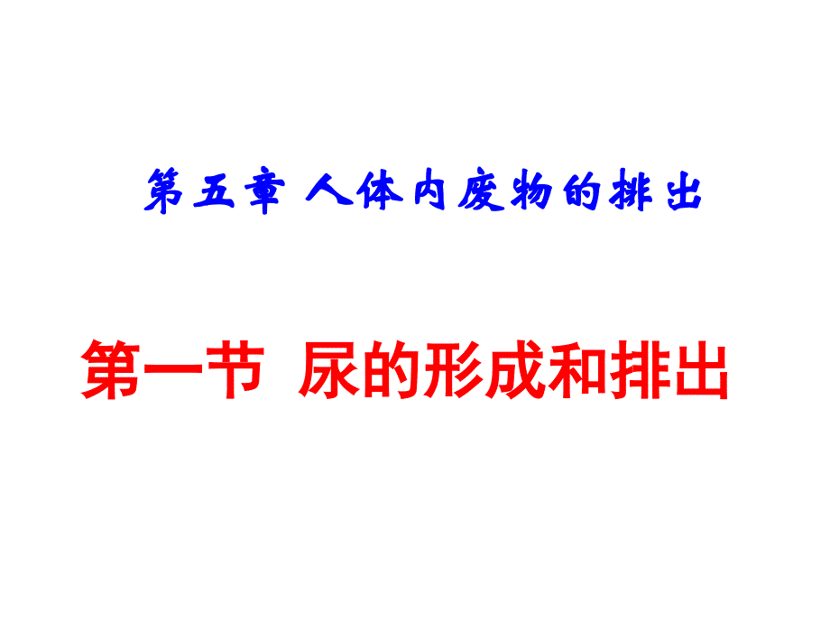 尿的形成与排出_第1页