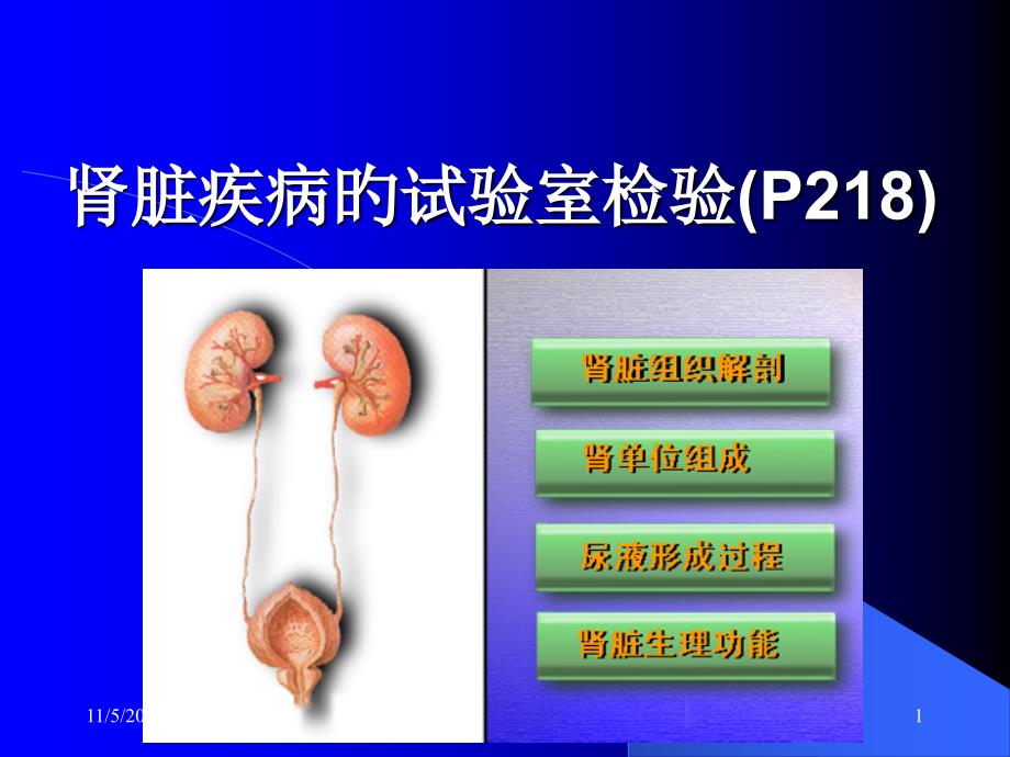 肾功能检查讲解_第1页