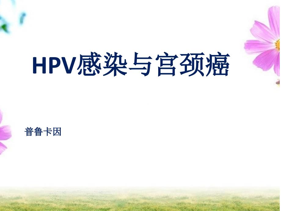 HPV感染与宫颈癌专家讲座_第1页