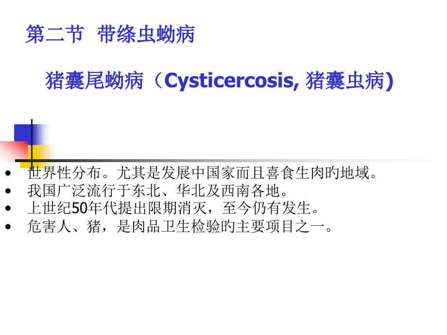 绦虫病 带绦虫蚴病_第1页