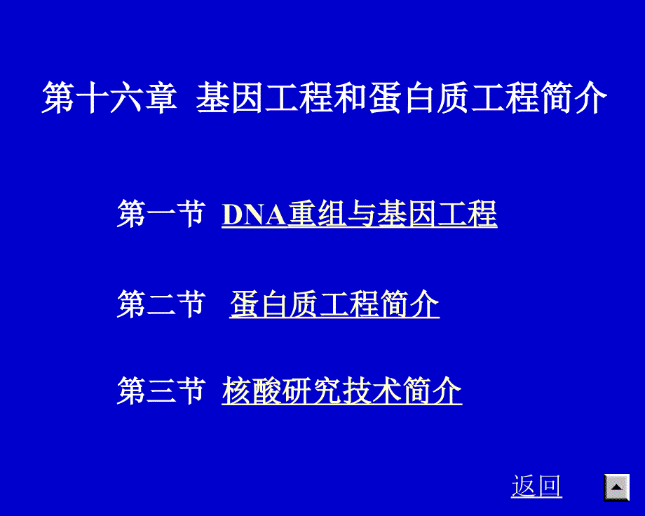 蛋白质工程和基因工程的简介_第1页