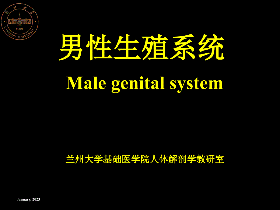 男性生殖系统专业知识培训_第1页