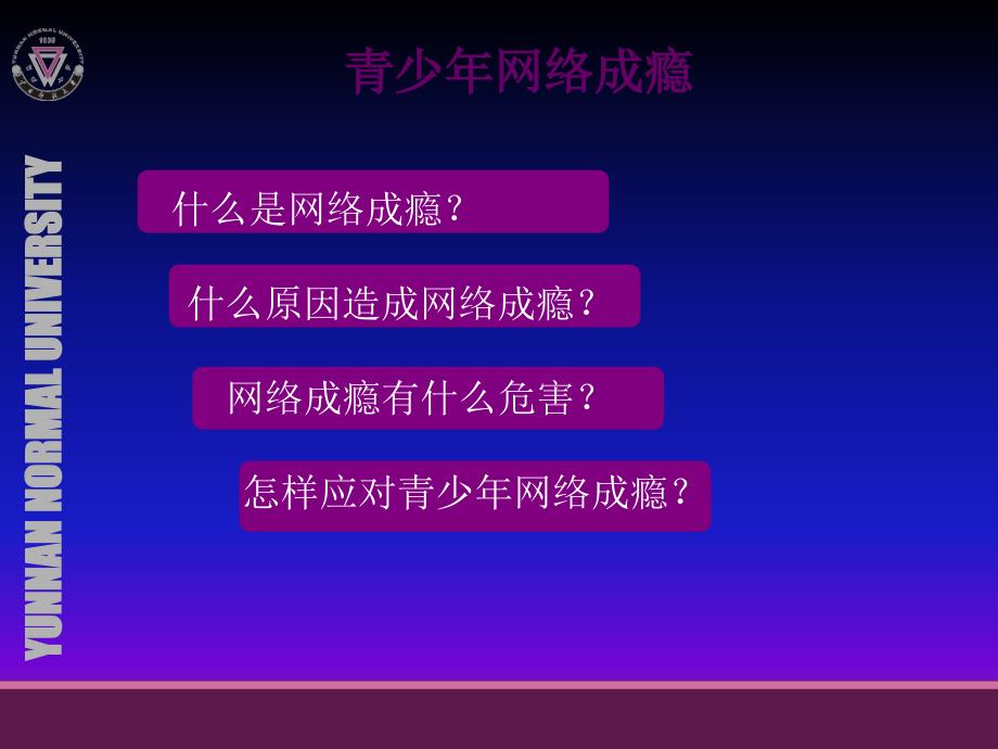 青少年网络成瘾和其危害专家讲座_第1页