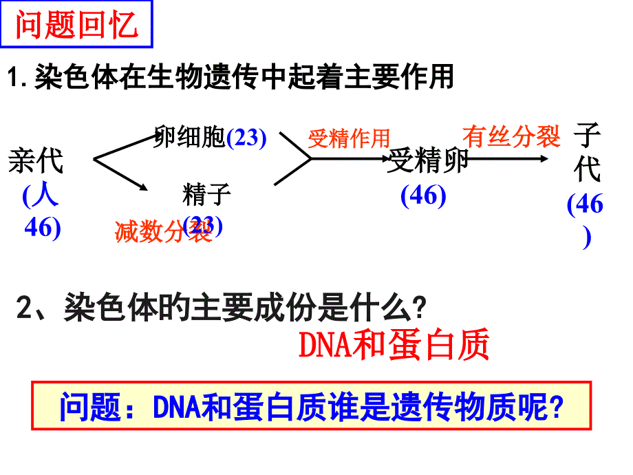 DNA主要的遗传物质_第1页