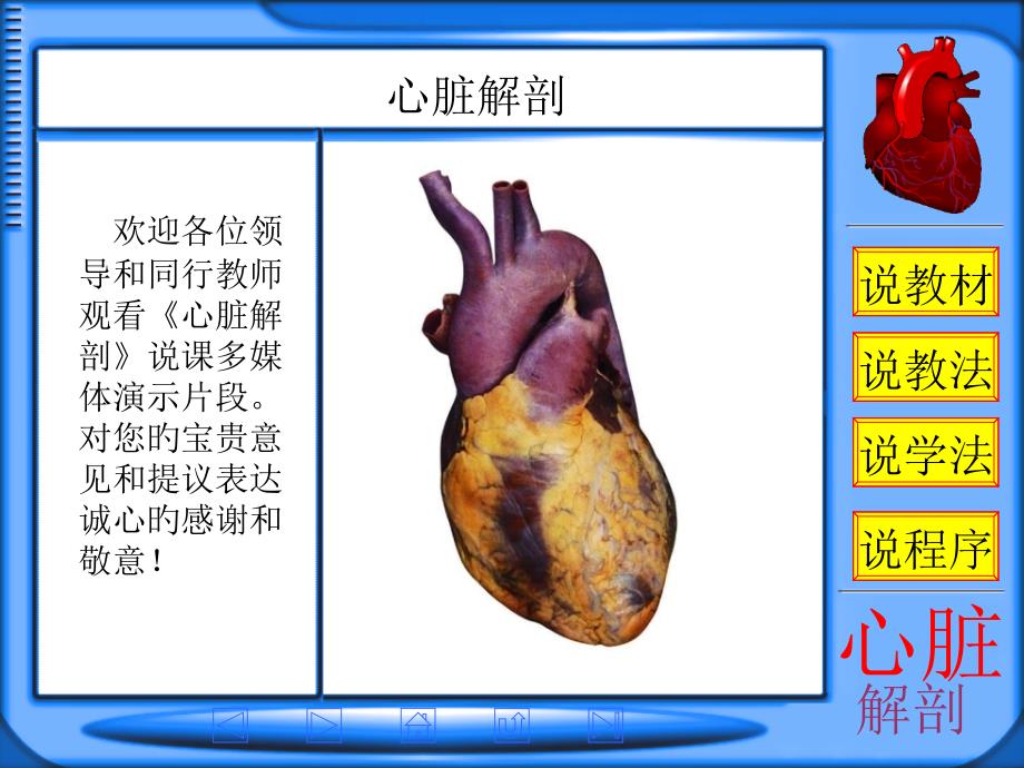 心的解剖专题知识培训_第1页